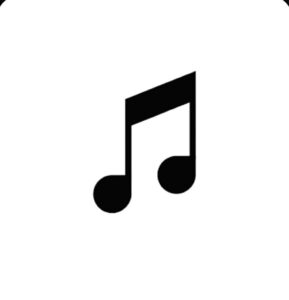  INclusion 1- Music system